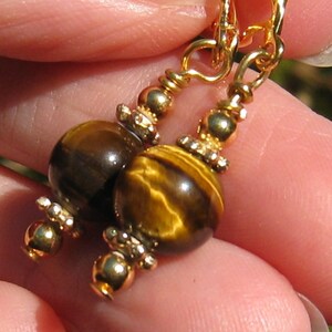 May include: Gold earrings with tiger's eye beads. The beads are round and have a brown and gold colour.