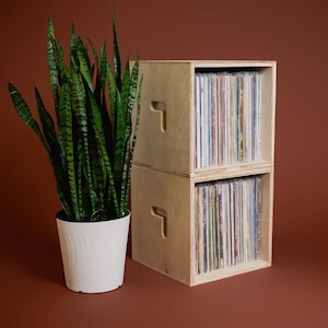 Modern LP Storage Crate | Made in Upstate NY