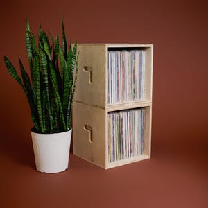 Modern LP Storage Crate | Made in Upstate NY