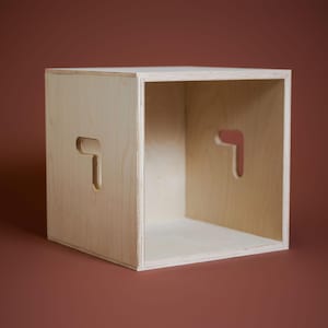 Modern LP Storage Crate | Made in Upstate NY
