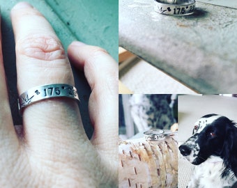 Sterling Silver Coordinates Ring