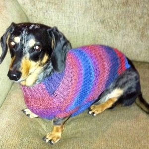 PDF Download Knit Pattern for Seed Stitch Miniature Dachshund Dog Sweater image 3