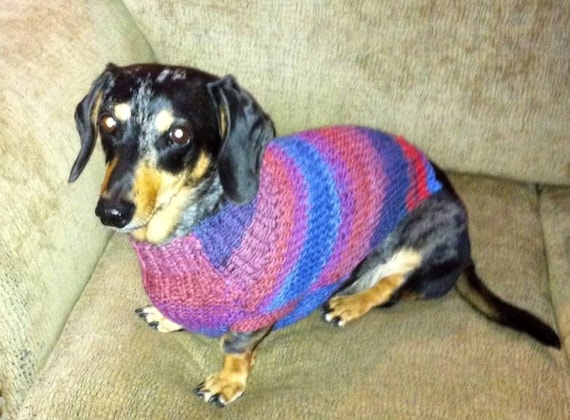 PDF Download Knit Pattern for Seed 