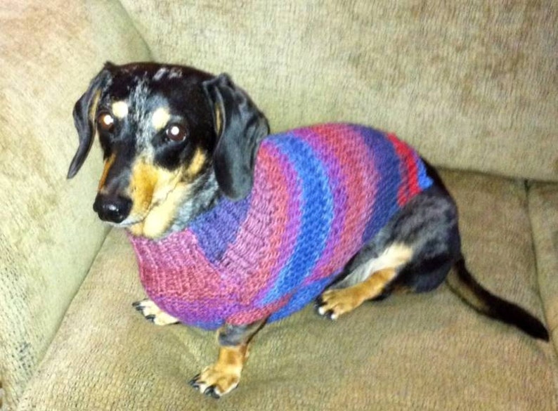 PDF Download Knit Pattern for Seed Stitch Miniature Dachshund Dog Sweater image 3