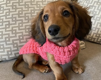 PDF Knitting Pattern Download for Waffle Stitch Sweater for Puppies and Small Breed Dogs