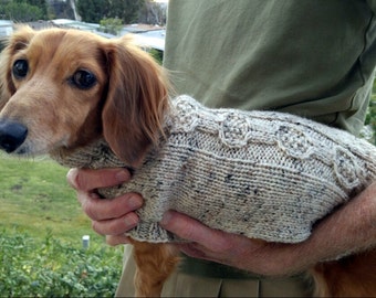 PDF Download Knit Pattern for the EZ Banjo Cable Mini Dachshund Sweater