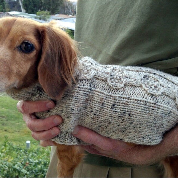 PDF Download Knit Pattern for the EZ Banjo Cable Mini Dachshund Sweater