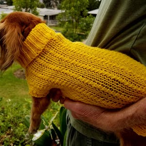 PDF Download for Lena&#39;s Twisty Columns Miniature Dachshund Knit Sweater Pattern