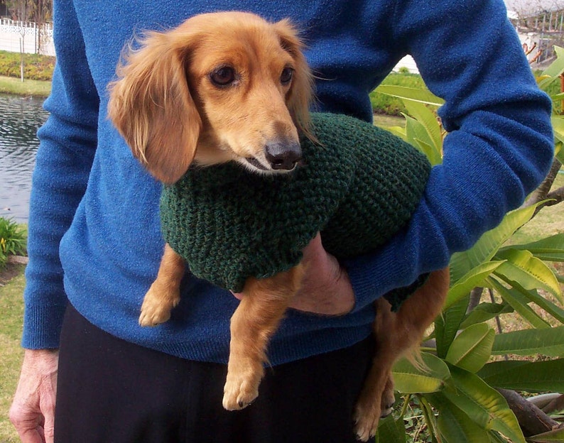 PDF Download Knit Pattern for Seed Stitch Miniature Dachshund Dog Sweater image 2