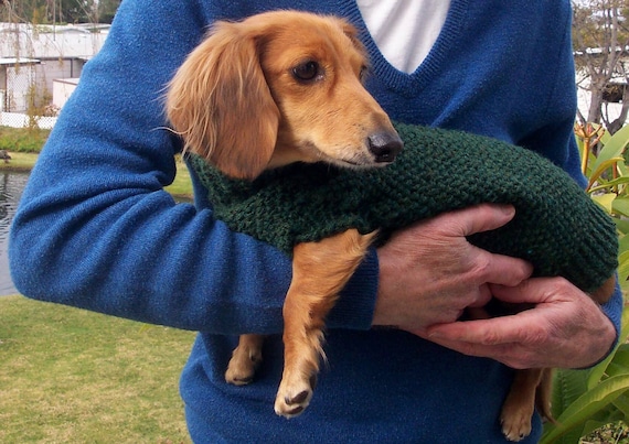 dachshund knitted jumper