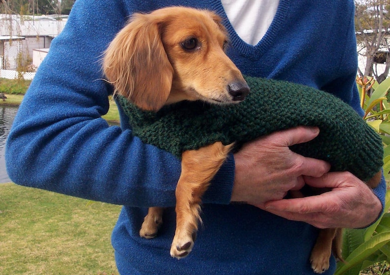 PDF Download Knit Pattern for Seed Stitch Miniature Dachshund Dog Sweater image 1