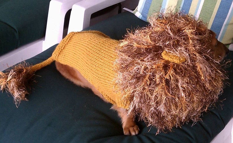 PDF Download Knit Pattern for Lion Dog Sweater Sizes XS, S, M and Miniature Dachshund image 2