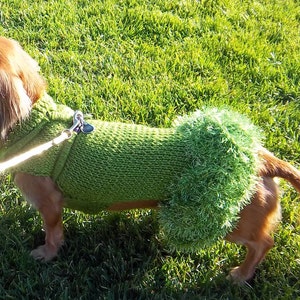 May include: A dachshund wearing a green knitted sweater with a fluffy green trim around the neck and back. The dog is wearing a lead and is standing on green grass.