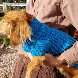 PDF Knitting Pattern Download for Lena&#39;s EZ Twisted Rib Miniature Dachshund Sweater