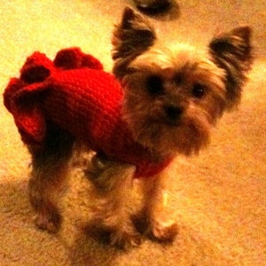 PDF Download Knit Pattern for Sofie's Tiny Dog Knit "Party Dress" for Dogs Five Pounds and Under