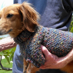 PDF Download Knitting Pattern - Lena's Cozy Brioche Miniature Dachshund Dog Sweater