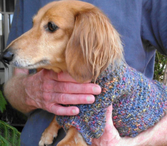 Knitting pattern for miniature dachshund jumper cheap