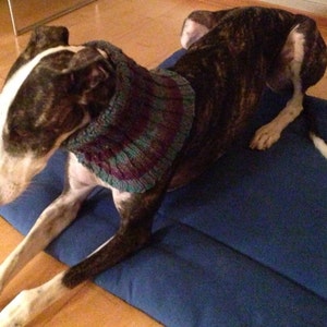 PDF-download voor Rona&#39;s eenvoudig gestreepte windhond-neksnood