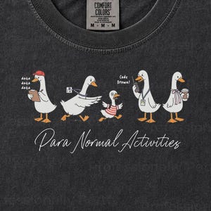 Camisa Silly Goose Comfort Colors para paraprofesional, actividades paranormales, regalo para asistente de maestro de educación especial RBT