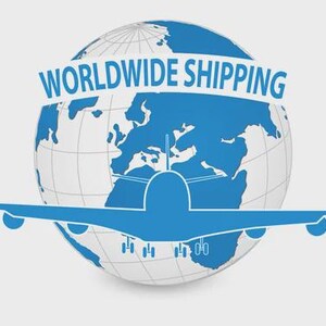 May include: A blue and white graphic featuring a globe with continents in blue, an airplane silhouette, and the text "WORLDWIDE SHIPPING" in blue. The image is on a light gray background.