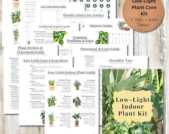 Low-Light Indoor Plant Guide: Beginner Care Kit (PDF Download, 5 Pages)