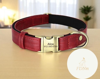 Ensemble collier et laisse rembourrés personnalisés pour chien : collier pour animal de compagnie en cuir PU gravé
