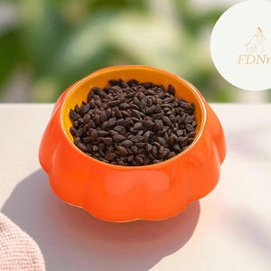 May include: An orange ceramic pet bowl filled with dark brown kibble. The bowl has a pumpkin-like shape with a yellow interior. The logo "FDNn" is visible in the background. A soft pink cloth is partially visible on the left.