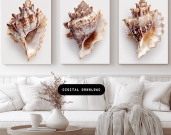 Coastal Wall Art Set of 3, Seashell Print Set, Neutral Beach Decor, Coastal Grandmillennial Art Shell Wall Art Luxury Coastal Bathroom Decor