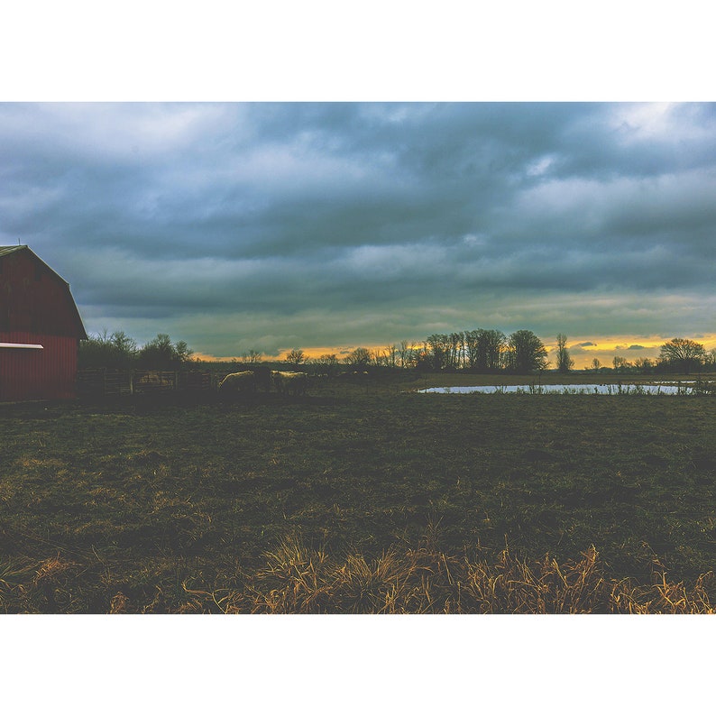 farm landscape Hunger Strike Moody art print dark forest photography grunge sky