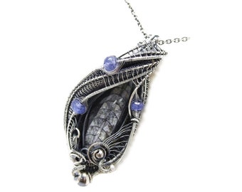 Orthoceras Fossil Pendant with Tanzanite in Sterling Silver