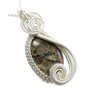 Turritella Agate & Sterling Silver Pendant