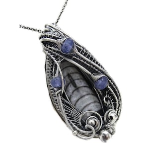 Orthoceras Fossil Pendant with Tanzanite in Sterling Silver, Wire Wrap