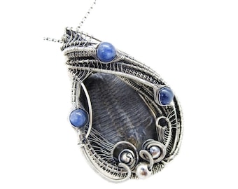 Trilobite Fossil Pendant with Blue Kyanite in Sterling Silver