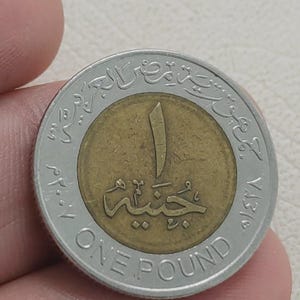 Egyptian 1 Pound Coin 2007