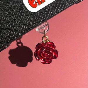Rosa Kindle Charms - USB C