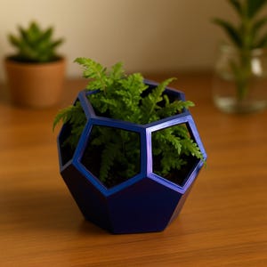 May include: A geometric, dark blue planter with a fern inside. The planter has a unique, open design with visible edges. The fern has bright green leaves. The planter is on a wooden surface.