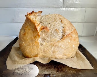 Sourdough Starter