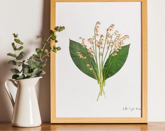Botanische print, geperste bloemen Herbarium-lelietje-van-dalen-exemplaar gedroogde bloemkunst, geperste botanische kunst 8,5 x 11 inch INGELIJSTE PRINT