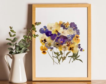 Geperste bloemenkunst, botanische print, herbariumspecimen gedroogde bloemenkunst, geperste botanische kunst 8,5 x 11 inch, altviooltje INGELIJSTE PRINT