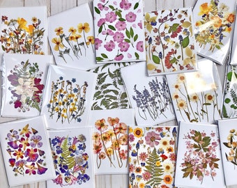Wenskaart met geperste bloemen, briefpapier met bloemen, blanco wenskaarten, botanische wenskaart, PRINT - set van 3 - BESTSELLERS hortensia