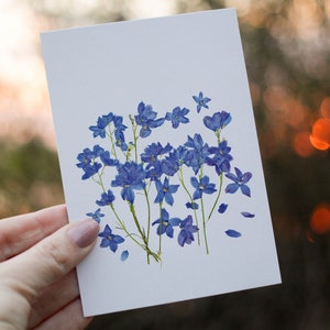 Blumen Grußkarte, Blumen Briefpapier, Blanko Grußkarten, botanische Grußkarte, blaues Delphinium / PRINT