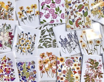 Wenskaart met geperste bloemen, briefpapier met bloemen, blanco wenskaarten, botanische wenskaart, PRINT - set van 3 HERFST- en VAKANTIEspecials