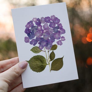 Blumen Grußkarte, Blumenbriefpapier, Blanko Grußkarten, botanische Grußkarte, LILA HYDRANGEA / PRINT