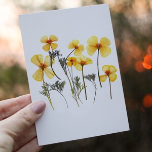 Gelber Kalifornischer Mohn, Grußkarte mit gepressten Blumen, Blumenbriefpapier, Blanko-Grußkarten, botanische Grußkarte / PRINT