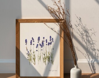 Geperste bloemenkunst, botanische print, herbariumspecimen gedroogde bloemenkunst, geperste botanische kunst 8,5 x 11 inch, Engelse lavendel INGELIJSTE PRINT