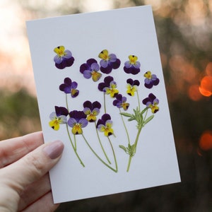 Tarjeta de felicitación con flores prensadas, Pensamiento Viola, papelería floral, tarjetas de felicitación en blanco, tarjeta de felicitación botánica, / IMPRIMIR
