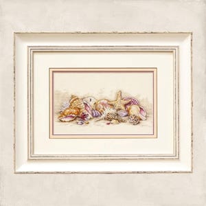 Puede incluir: Una obra de arte en punto de cruz enmarcada que presenta una colección de conchas marinas. Las conchas varían en tamaño, forma y color, incluyendo tonos de beige, rosa y marrón. También se incluye una estrella de mar. La obra está enmarcada en un marco blanco.