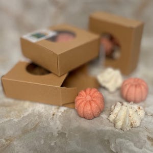 Pumpkin Pie Wax Melts: Hand-Poured Soy Wax, Fall Bakery Scent