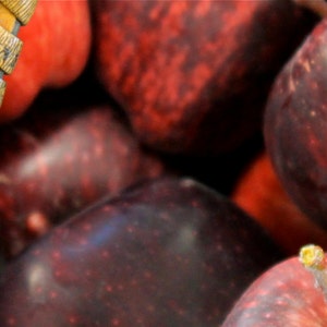 Apple Photograph / Photography Art Wall Panel / Metal Wall Art / Apples Basket / Fruit Digital / New Zealand / 12 x 36 inches image 3