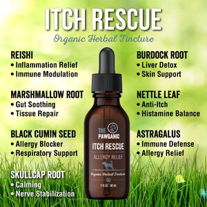 ITCH RESCUE - ALLERGY